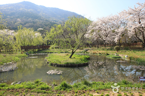 창원 가볼만한곳 베스트 10 숨은 명소