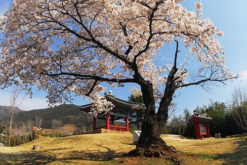 창녕 가볼만한곳 베스트 10 숨은 명소