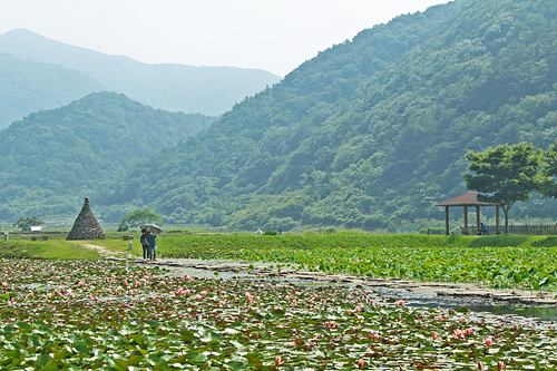 경남 고성 가볼만한곳 베스트 10 숨은 명소