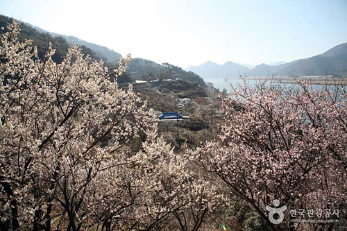 경남 양산 가볼만한곳 여행 관광지 베스트 10 숨은 명소