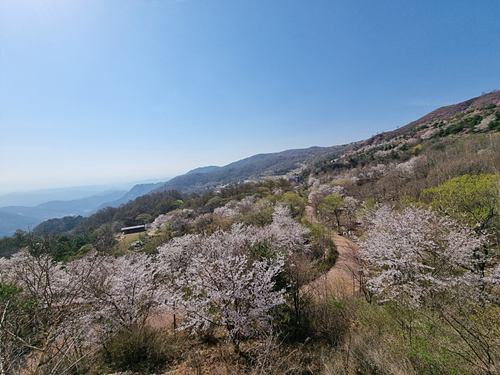 경남 합천 가볼만한곳 여행 관광지 베스트 10 숨은 명소