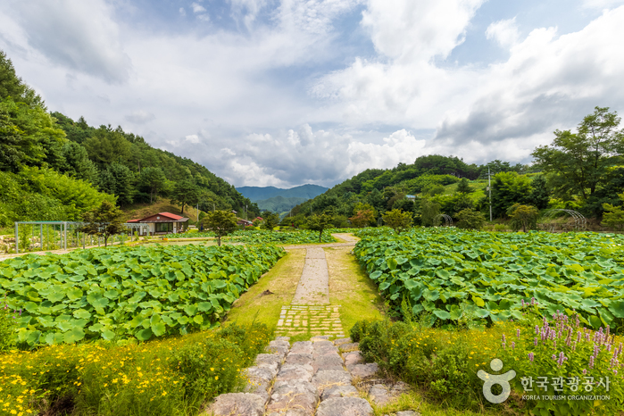 봉화 가볼만한곳 여행 관광지 베스트 10 숨은 명소