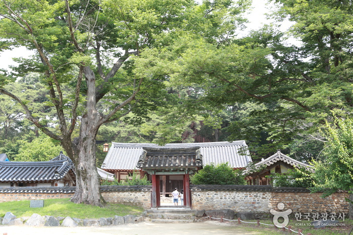 성주군 가볼만한곳 여행 관광지 베스트 10 숨은 명소