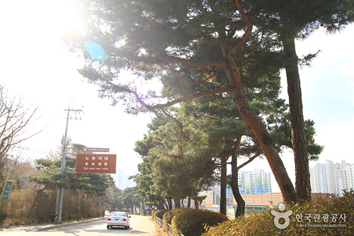 경기 수원시 가볼만한곳 여행 관광지 베스트 10 숨은 명소