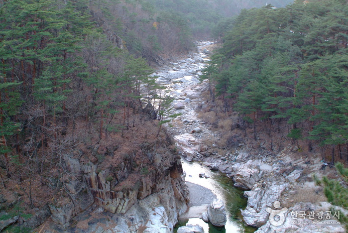 울진군 가볼만한곳 여행 관광지 베스트 10 숨은 명소