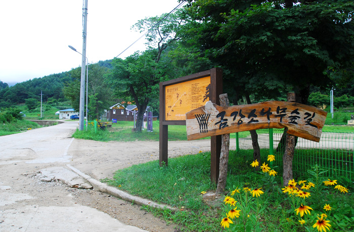 울진군 가볼만한곳 여행 관광지 베스트 10 숨은 명소