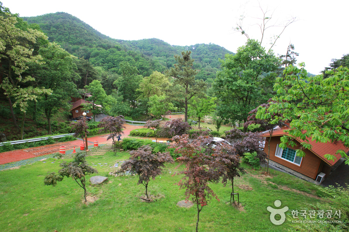 경북 칠곡군 가볼만한곳 여행 관광지 베스트 10 숨은 명소