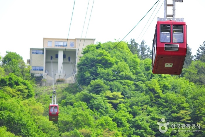 경북 울릉도 가볼만한곳 여행 관광지 베스트 10 숨은 명소