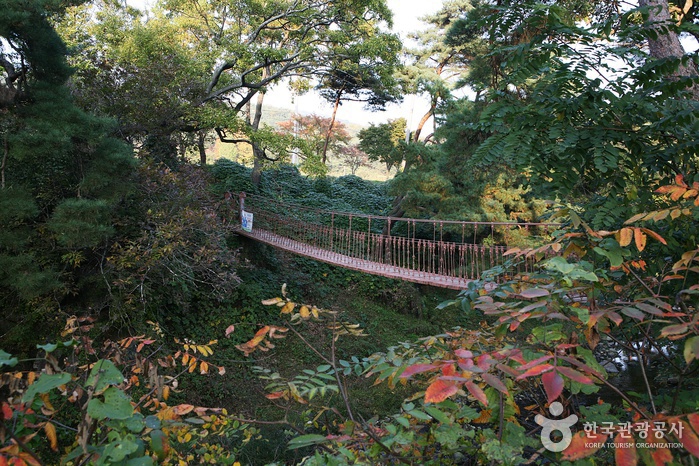 [예천여행] 예천 가볼만한곳 여행 관광지 베스트 10 숨은 명소 가족여행 아이와