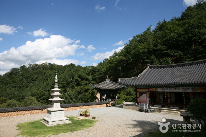 [예천여행] 예천 가볼만한곳 여행 관광지 베스트 10 숨은 명소 가족여행 아이와