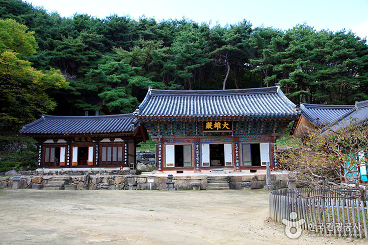 경북 청도군 가볼만한곳 여행 관광지 베스트 10 숨은 명소