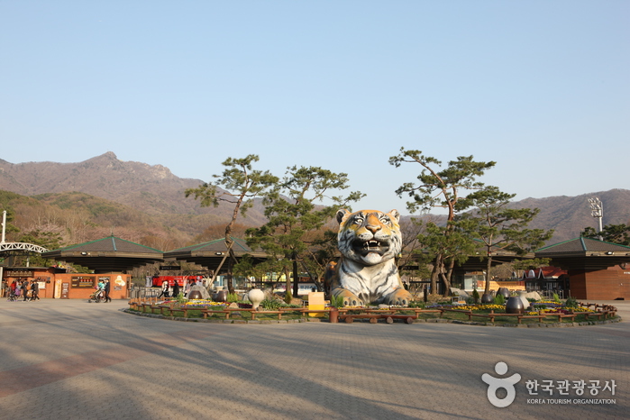 경기 과천시 가볼만한곳 여행 베스트 10