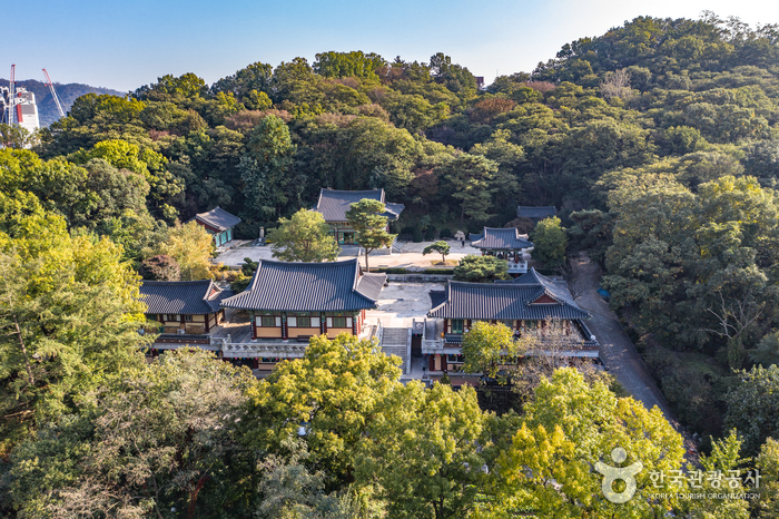 경기 과천시 가볼만한곳 여행 베스트 10