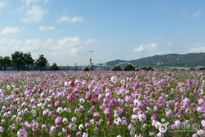 경기 구리시 가볼만한곳 여행 관광지 베스트 10 숨은 명소