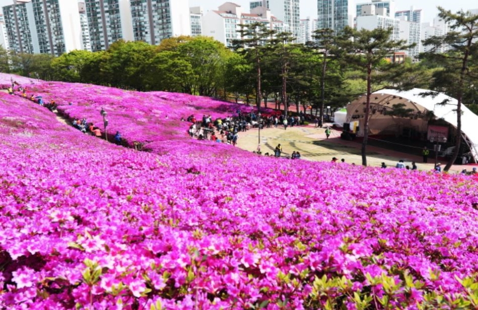 경기 군포시 가볼만한곳 여행 관광지 베스트 10 숨은 명소