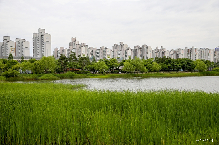 경기 부천시 가볼만한곳 여행 베스트10 숨은 명소