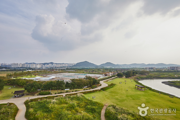 경기 시흥시 가볼만한곳 여행 관광지 베스트 10 숨은 명소