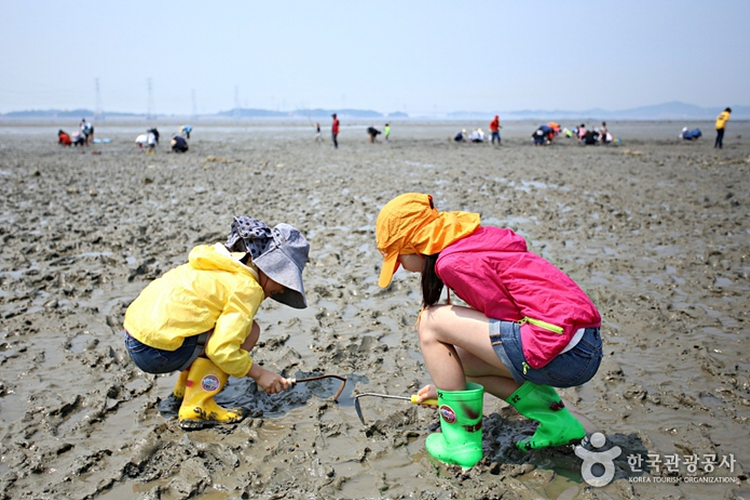 안산시 가볼만한곳 여행 베스트 10 숨은 명소 관광지