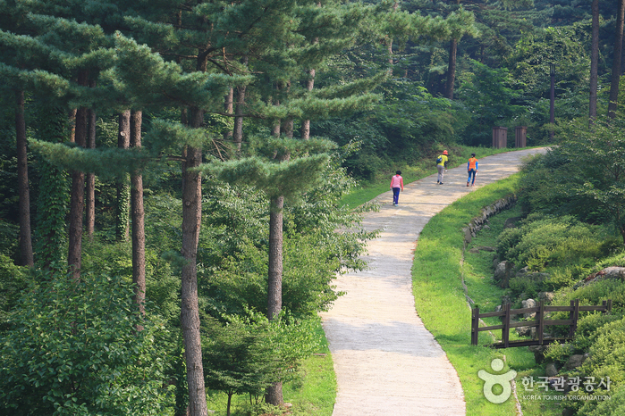 경기 가평군 가볼만한곳 여행 관광지 베스트 9 숨은 명소