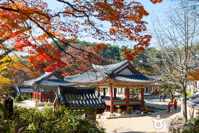 경기 여주시 가볼만한곳 여행 관광지 베스트 10 숨은 명소