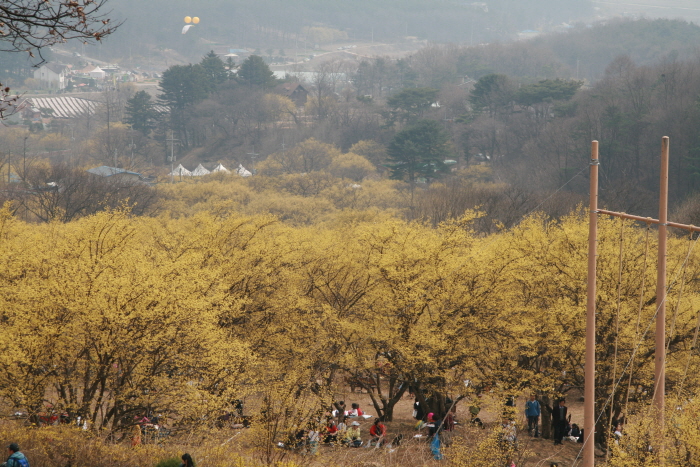 경기 이천시 가볼만한곳 여행 관광지 숨은 명소 베스트 10