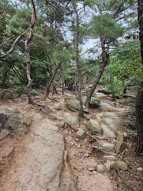 [등산기록] 아차산 등산 (초보 가능한 등산코스)