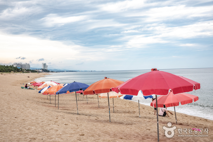 강릉시 가볼만한곳 여행 관광지 10 숨은 명소