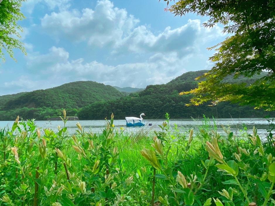 춘천시 관광지 베스트 10 가볼만한곳