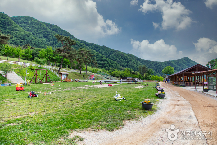 춘천시 관광지 베스트 10 가볼만한곳