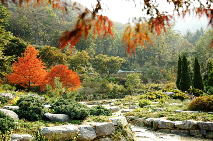 경기 용인시 관광명소 여행 BEST10 (ft 숨은명소)