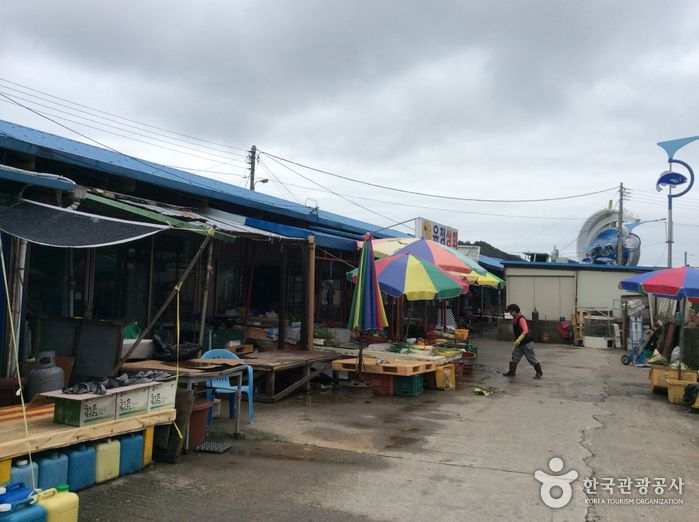 강원 삼척시 가볼만한곳 여행 관광지 베스트 10 숨은 명소