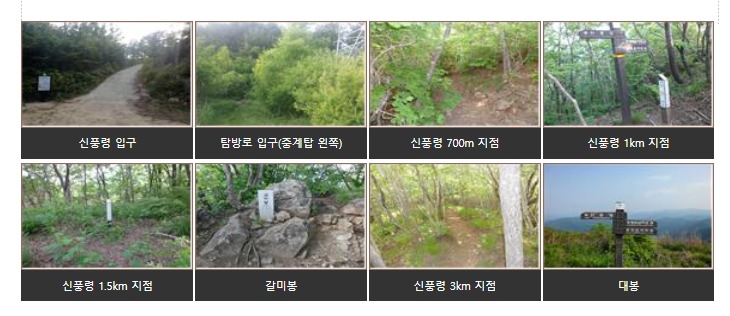 [덕유산 등산코스] 신풍령 코스 상세구간 일정 소요시간 거리