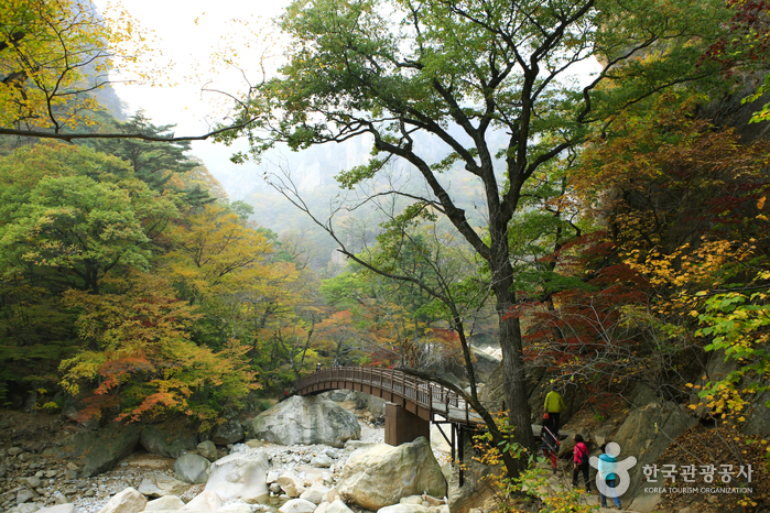 양양군 여행 관광지 가볼만한곳 베스트 숨은 명소