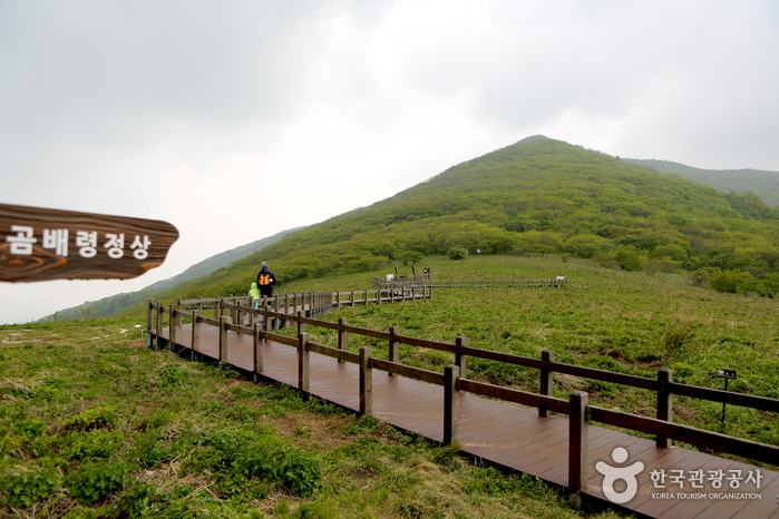 점봉산 곰배령