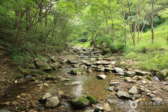 연곡계곡