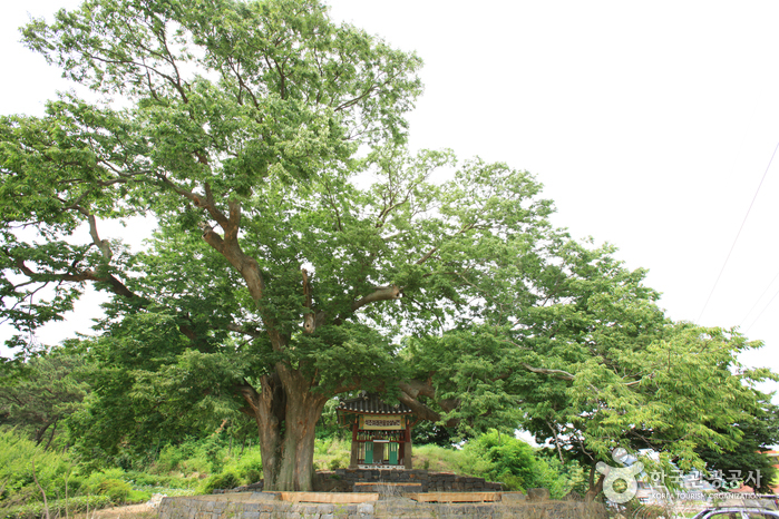 증평 미암리 석조관음보살입상