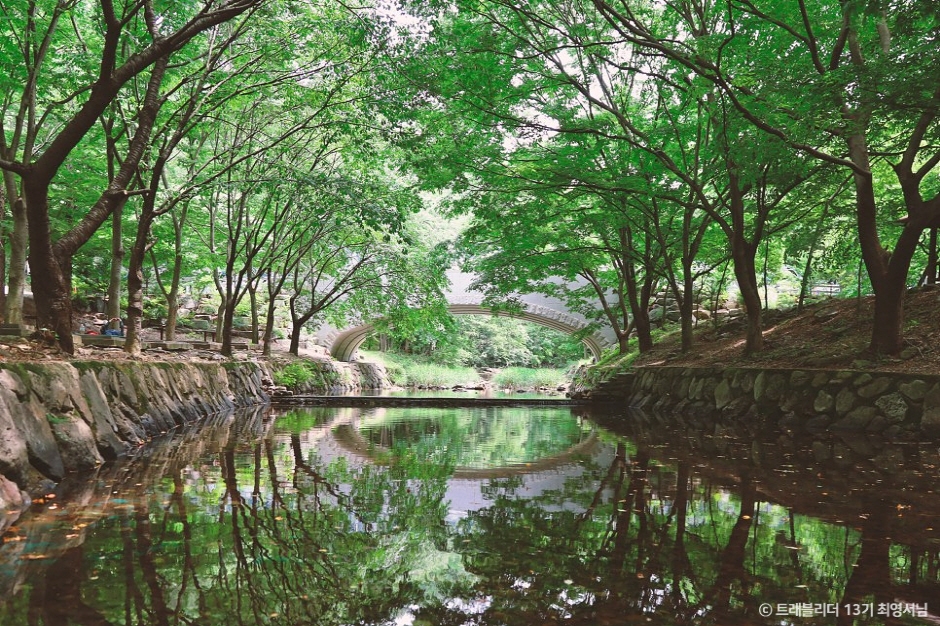 고산자연휴양림