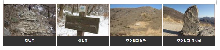 당산나무 코스 (4)