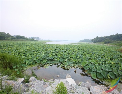 만경지(능제저수지)