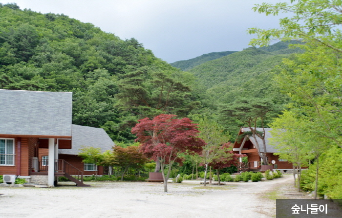 방화동 자연휴양림,가족휴가촌