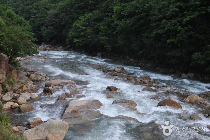 백운산 동곡계곡