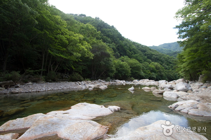 뱀사골계곡