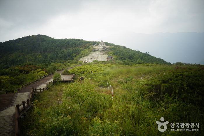 지리산국립공원(지리산 노고단)