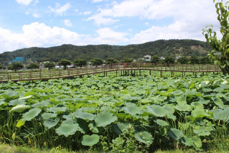 지산샛강생태공원