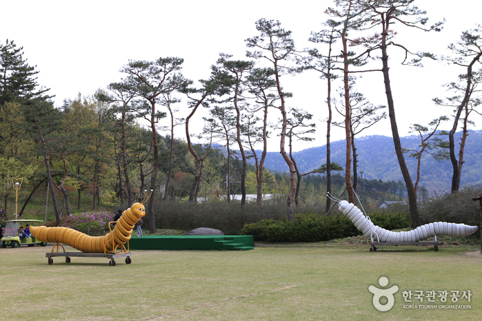 함평 자연생태공원