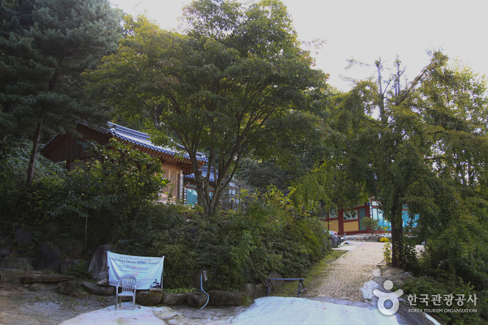 청룡사(상주)